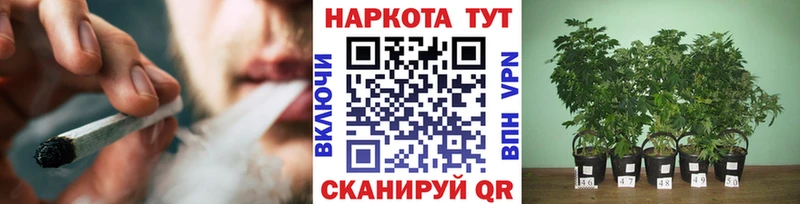 Хочу наркоту Великий Устюг НБОМе  СК  Меф  Конопля 