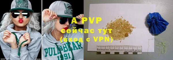 PSILOCYBIN Белокуриха