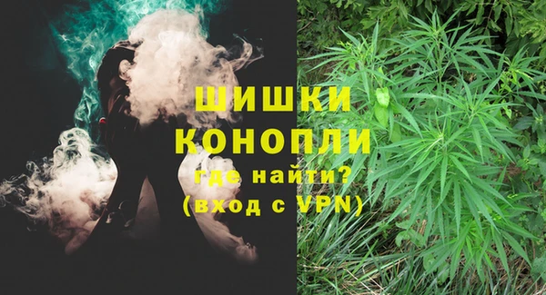 шишки Белоозёрский