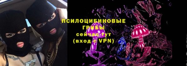 шишки Белоозёрский
