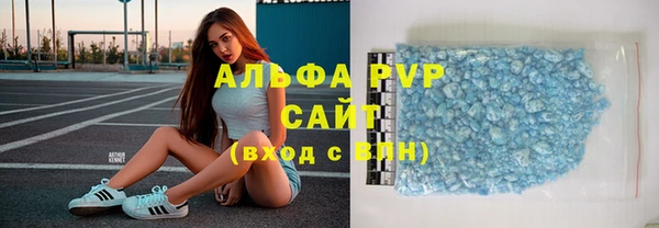 твердый Богданович