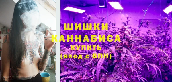 шишки Белоозёрский