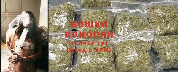шишки Белоозёрский