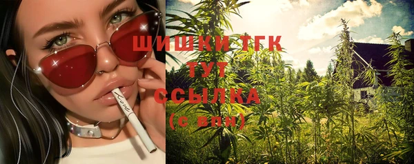 хмурый Богородск
