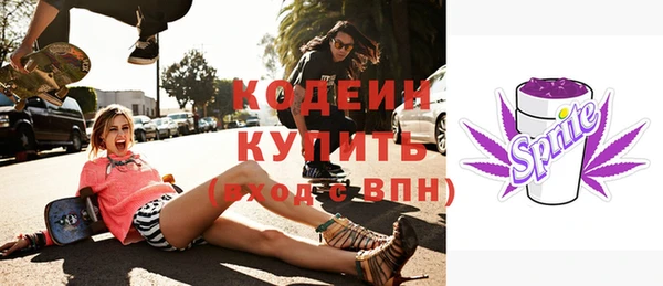 хмурый Богородск