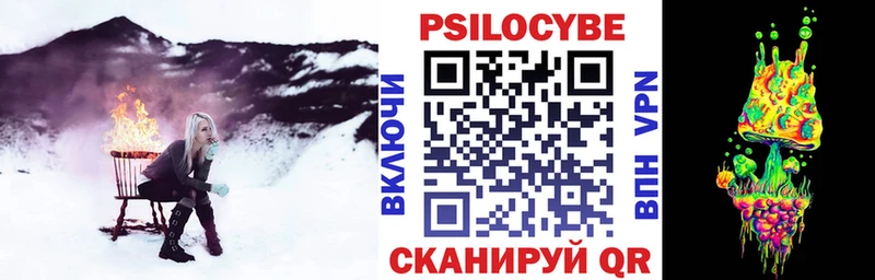 Псилоцибиновые грибы Psilocybine cubensis  Великий Устюг 