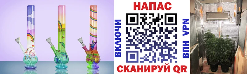 Бошки марихуана конопля  Великий Устюг 